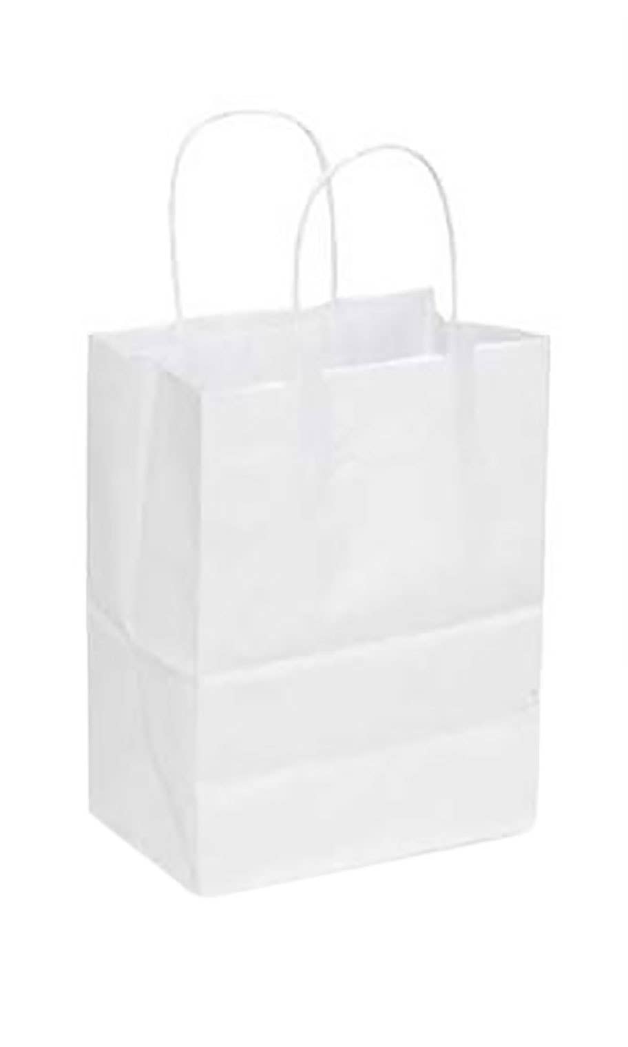 Kraft Paper Shopping Bags: White / Case of 100 / Small