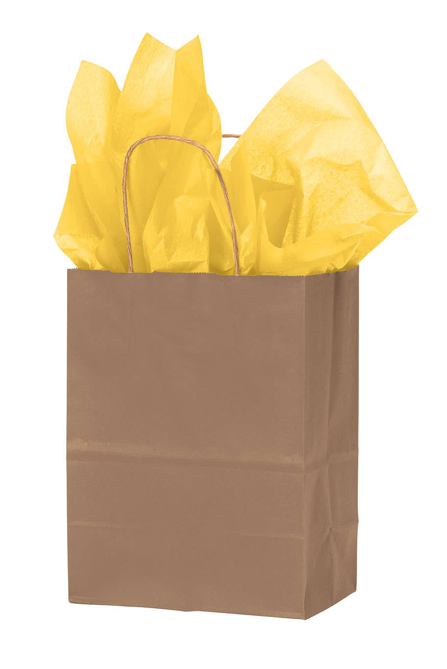 Kraft Paper Shopping Bags: White / Case of 100 / Large