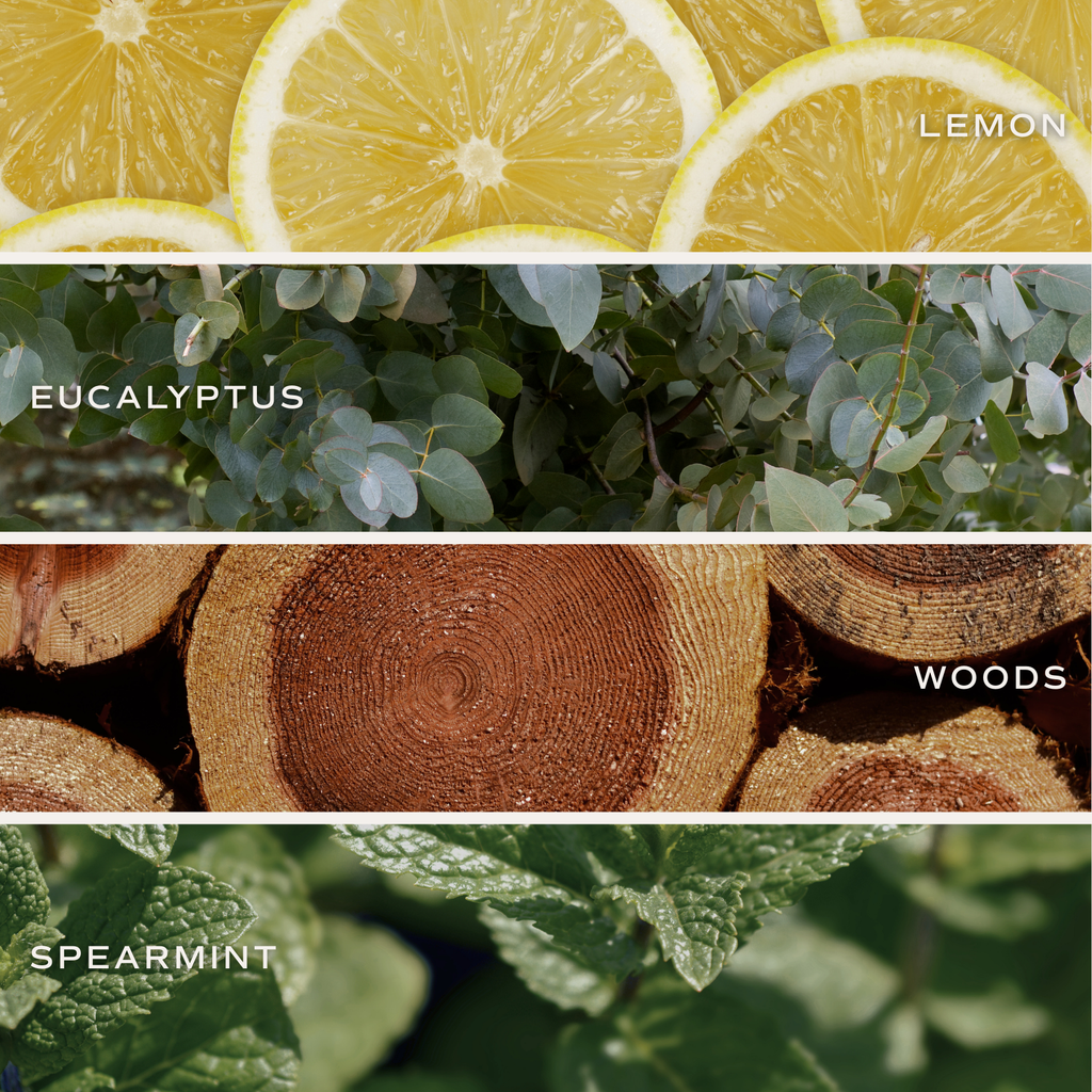 Stress Relief 9 oz Soy Candle - Home Decor & Gifts