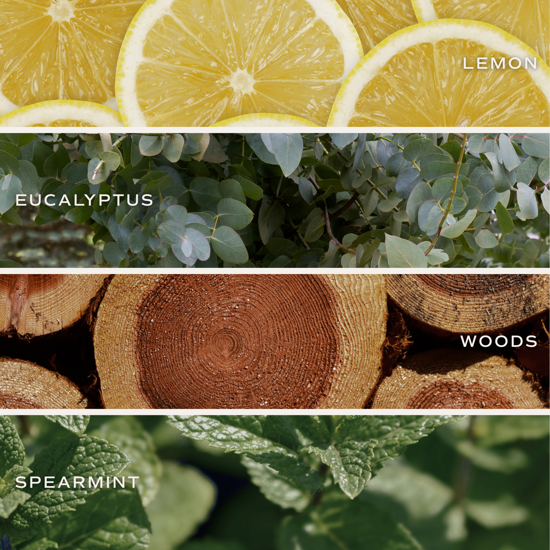 Stress Relief 9 oz Soy Candle - Home Decor & Gifts