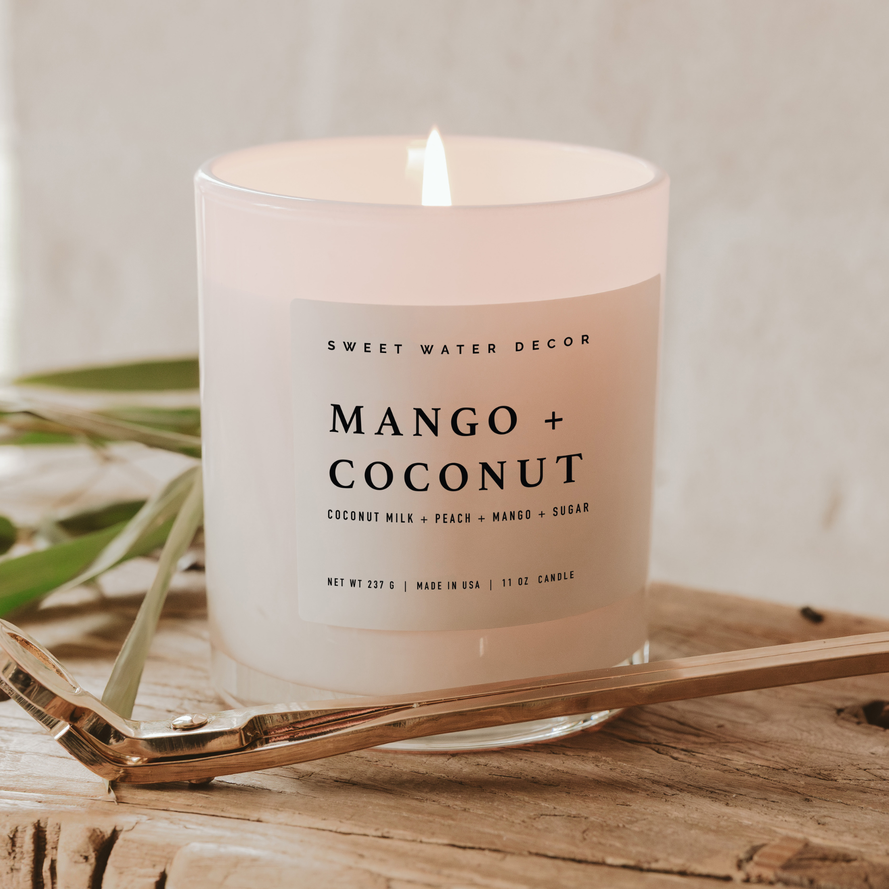 Mango and Coconut 11 oz Soy Candle - Decor & Gifts
