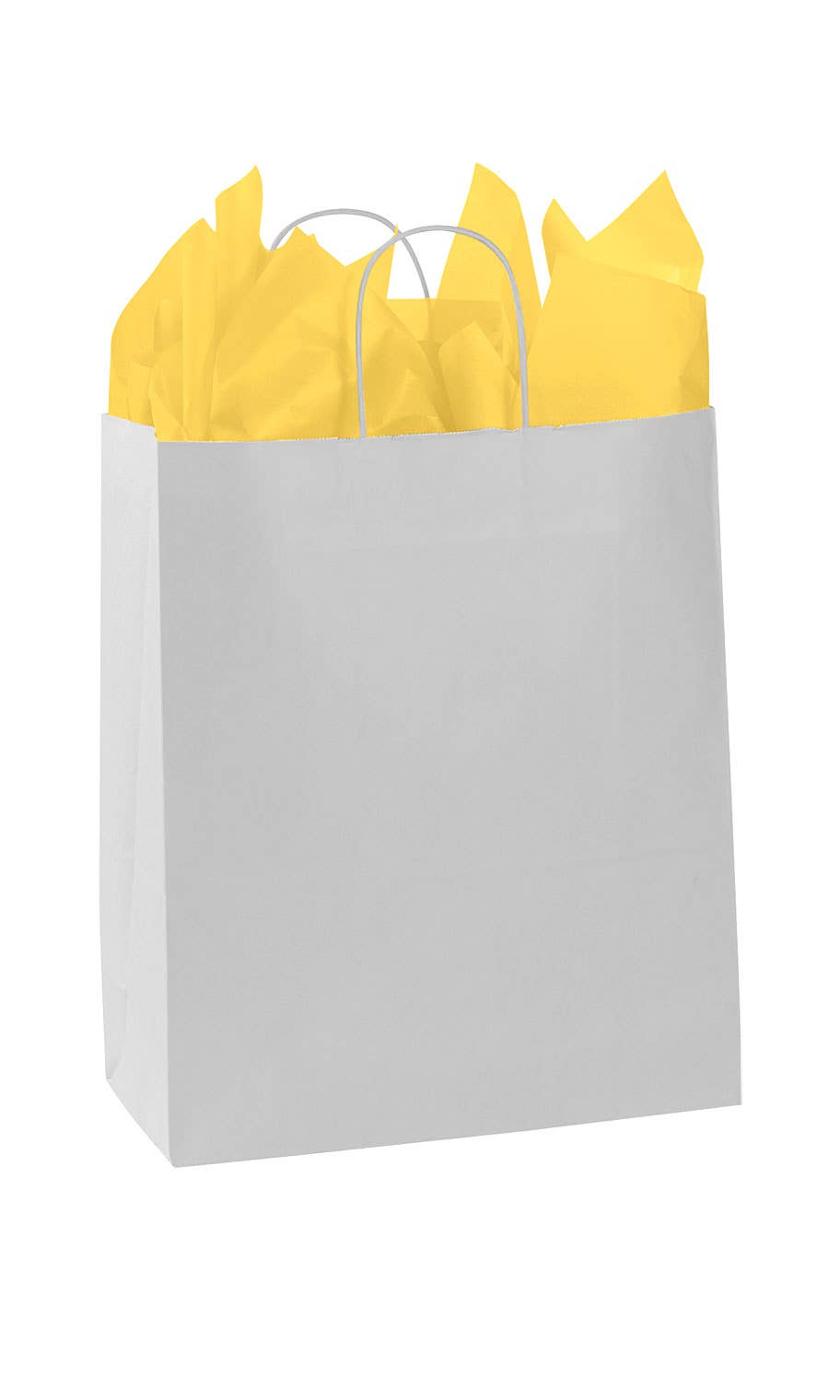 Kraft Paper Shopping Bags: White / Case of 100 / Large