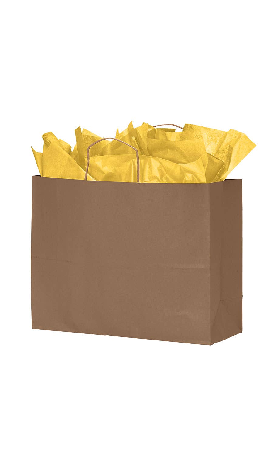 Kraft Paper Shopping Bags: White / Case of 100 / Large