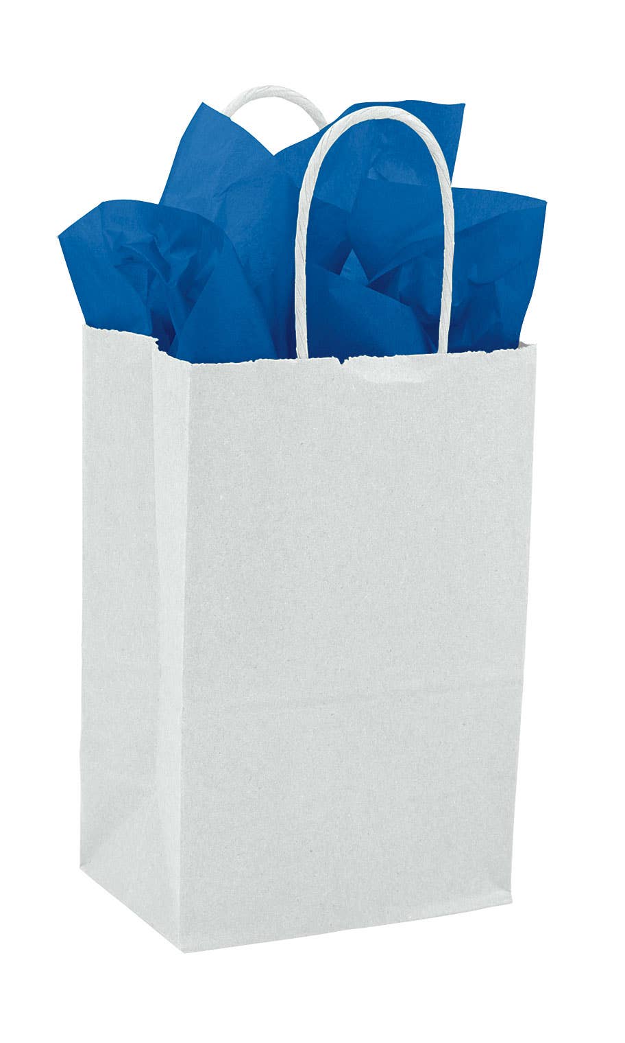 Kraft Paper Shopping Bags: White / Case of 100 / Small