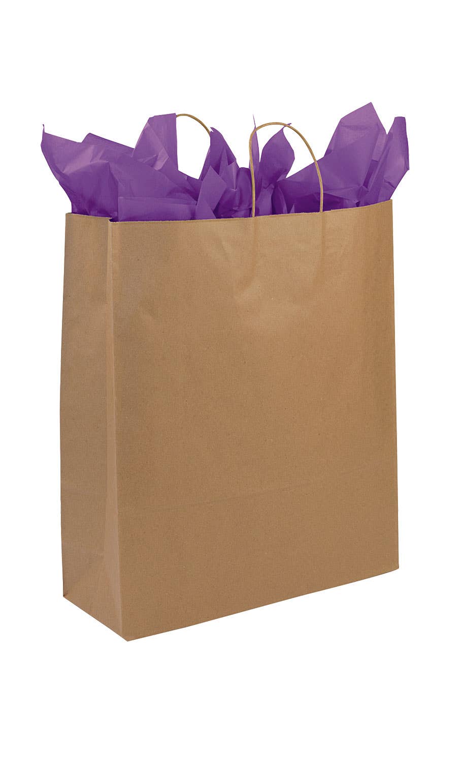 Kraft Paper Shopping Bags: White / Case of 100 / Small