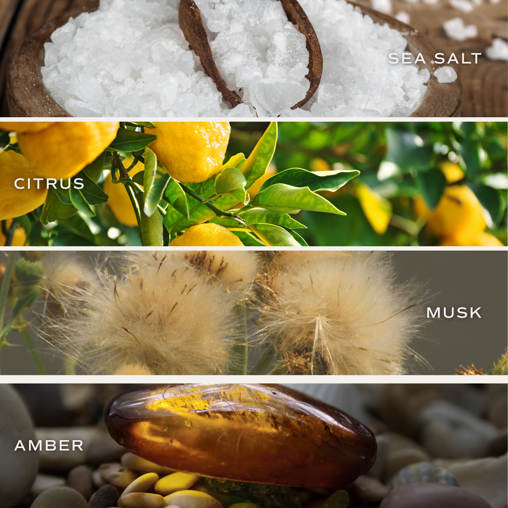 Salt and Sea 15 oz Soy Candle, Matte Jar -  Home Decor