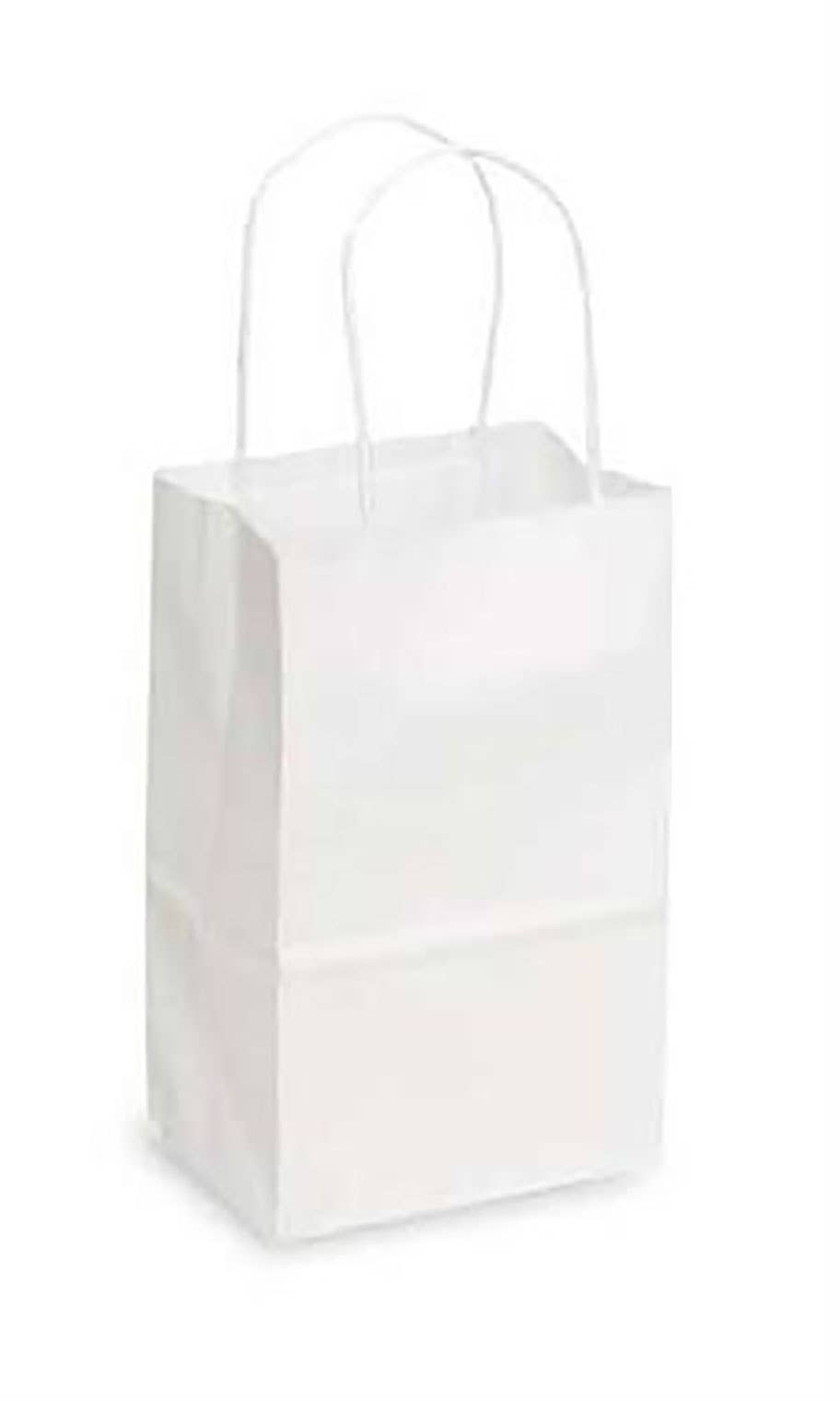 Kraft Paper Shopping Bags: White / Case of 100 / Large