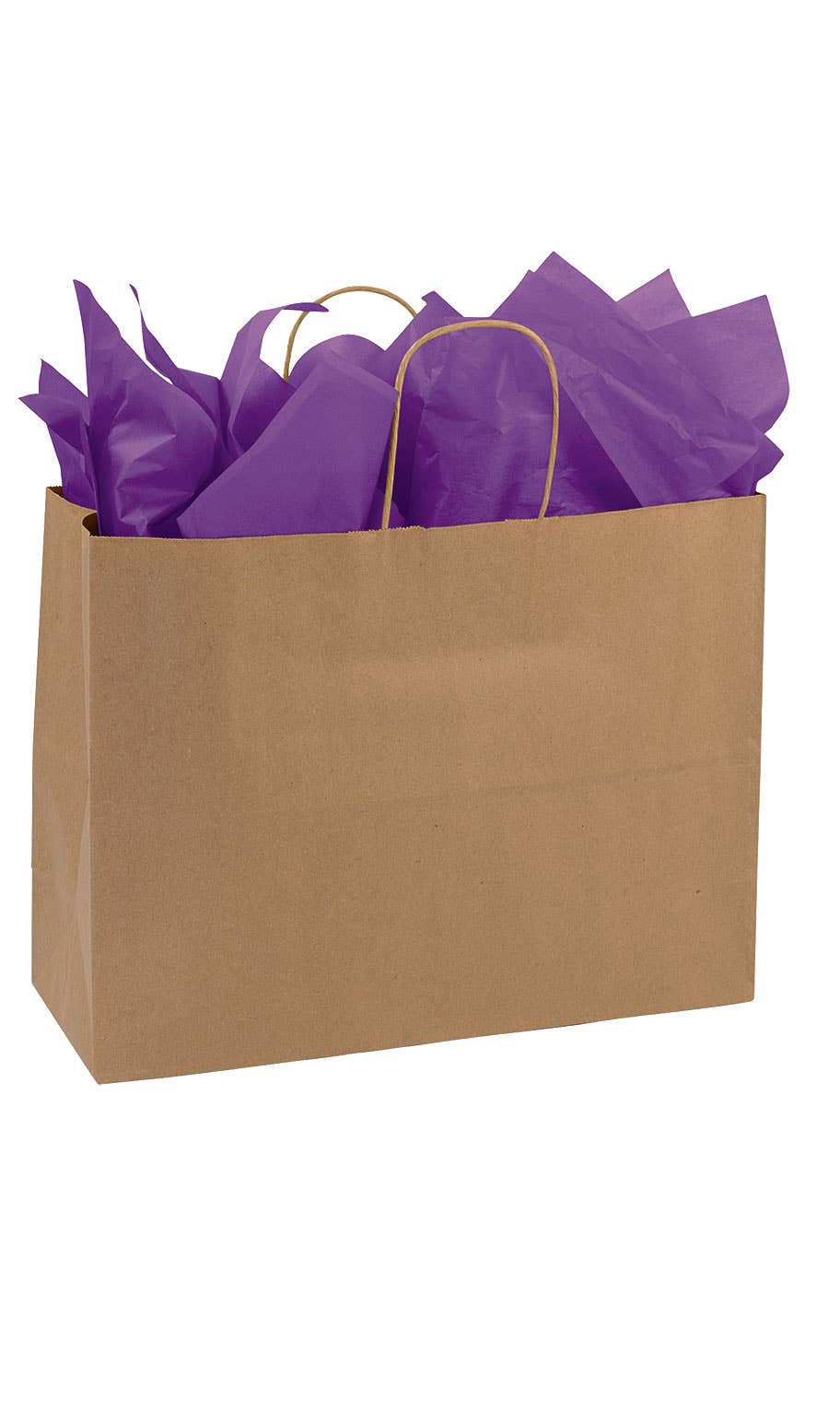 Kraft Paper Shopping Bags: White / Case of 100 / Large