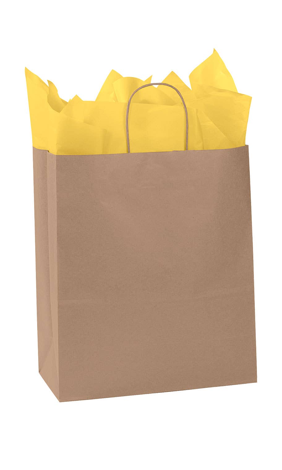 Kraft Paper Shopping Bags: White / Case of 100 / Small